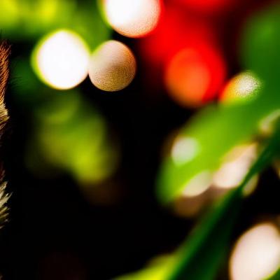 2019年6月30日装修日历查询避开黄道吉日？