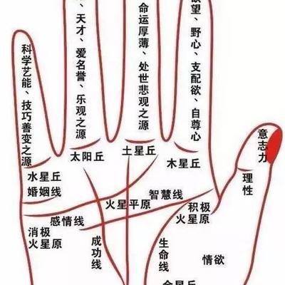 2025年8月9日开业吉日？黄道吉日开业需求